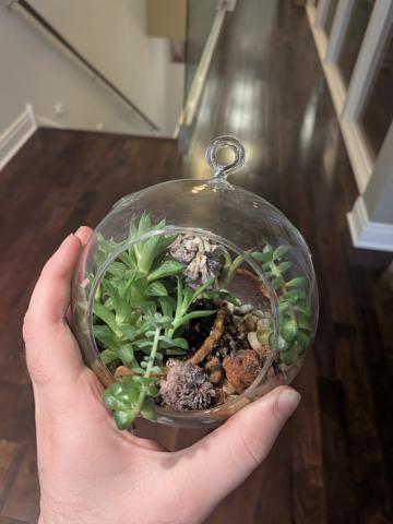 a picture a customer sent